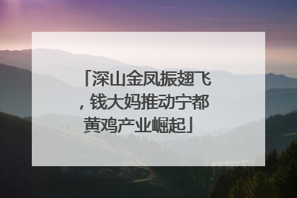 深山金凤振翅飞，钱大妈推动宁都黄鸡产业崛起