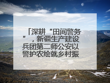 深耕“田间警务”，新疆生产建设兵团第二师公安以警护农绘就乡村振兴平安画卷