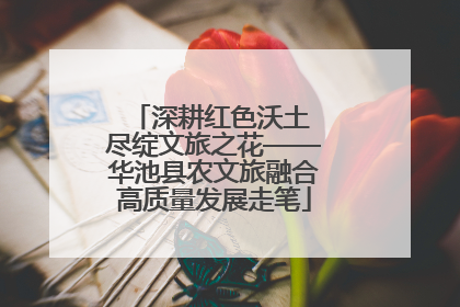 深耕红色沃土 尽绽文旅之花——华池县农文旅融合高质量发展走笔