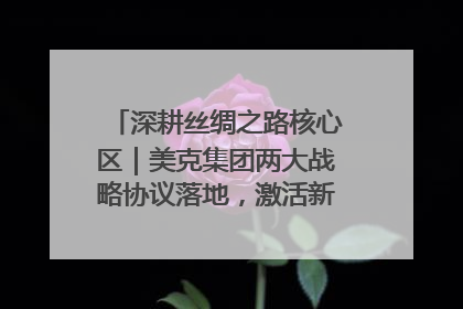深耕丝绸之路核心区｜美克集团两大战略协议落地，激活新疆开放新动能
