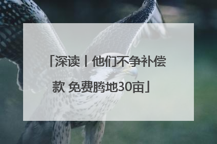深读丨他们不争补偿款 免费腾地30亩