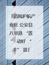清风护航产业旺 公安县八里港 “莲” 动好 “丰” 景