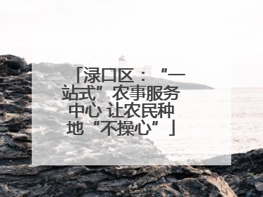 渌口区：“一站式”农事服务中心 让农民种地“不操心”