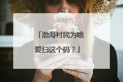 渤海村民为啥爱扫这个码？