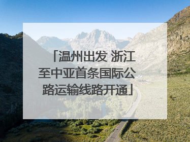 温州出发 浙江至中亚首条国际公路运输线路开通
