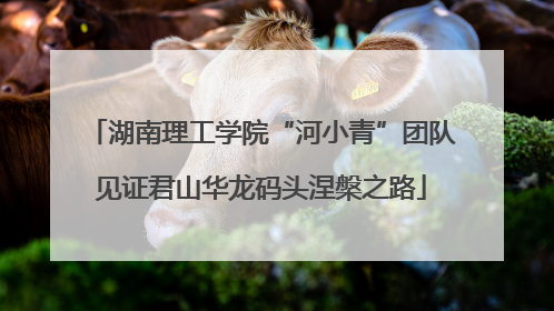 湖南理工学院“河小青”团队见证君山华龙码头涅槃之路