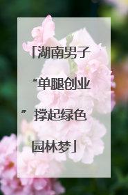湖南男子“单腿创业”撑起绿色园林梦