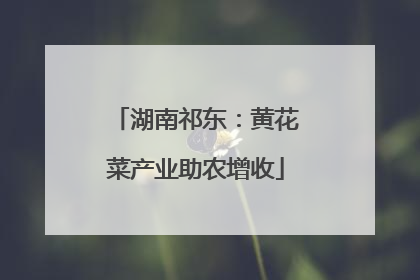 湖南祁东：黄花菜产业助农增收