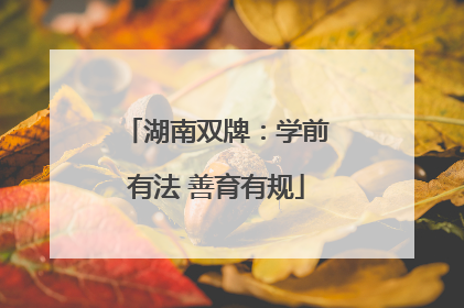 湖南双牌：学前有法 善育有规