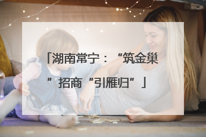 湖南常宁：“筑金巢”招商“引雁归”
