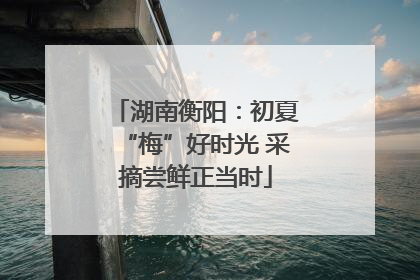 湖南衡阳：初夏“梅”好时光 采摘尝鲜正当时