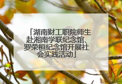 湖南财工职院师生赴湘南学联纪念馆、罗荣桓纪念馆开展社会实践活动