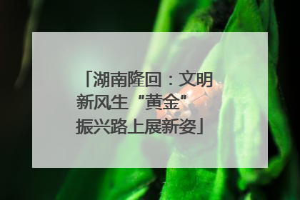 湖南隆回：文明新风生“黄金” 振兴路上展新姿