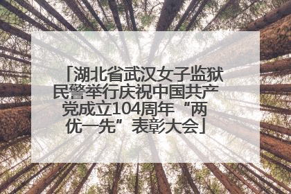 湖北省武汉女子监狱民警举行庆祝中国共产党成立104周年“两优一先”表彰大会