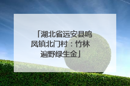 湖北省远安县鸣凤镇北门村：竹林遍野绿生金