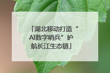 湖北移动打造“AI数字哨兵”护航长江生态链