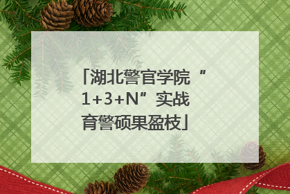 湖北警官学院“1+3+N”实战育警硕果盈枝