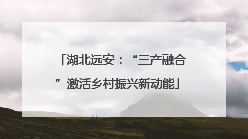 湖北远安：“三产融合”激活乡村振兴新动能