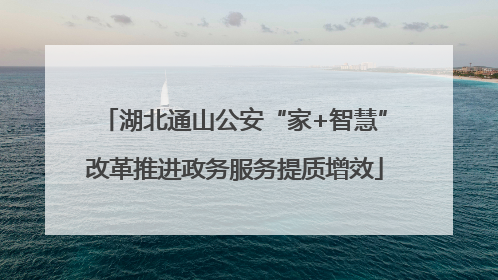 湖北通山公安“家+智慧”改革推进政务服务提质增效