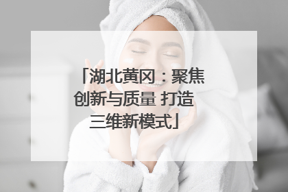 湖北黄冈：聚焦创新与质量 打造三维新模式