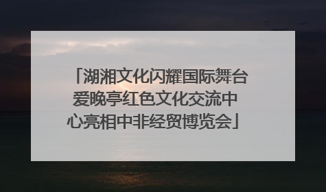 湖湘文化闪耀国际舞台 爱晚亭红色文化交流中心亮相中非经贸博览会