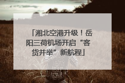 湘北空港升级！岳阳三荷机场开启“客货并举”新航程