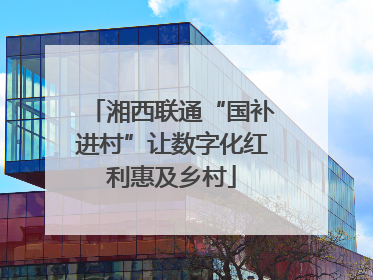 湘西联通“国补进村”让数字化红利惠及乡村