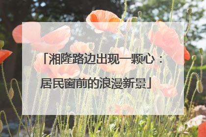 湘隆路边出现一颗心：居民窗前的浪漫新景