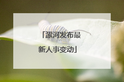 漯河发布最新人事变动