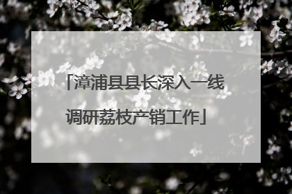 漳浦县县长深入一线调研荔枝产销工作