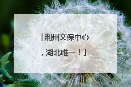 荆州文保中心，湖北唯一！
