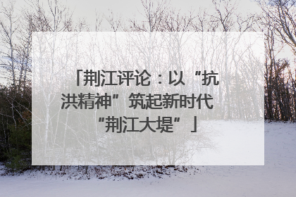 荆江评论：以“抗洪精神”筑起新时代“荆江大堤”