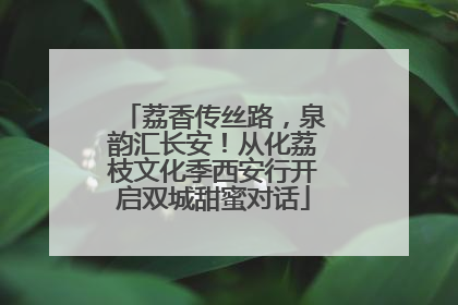 荔香传丝路，泉韵汇长安！从化荔枝文化季西安行开启双城甜蜜对话
