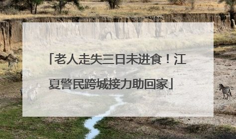 老人走失三日未进食！江夏警民跨城接力助回家