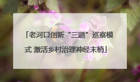 老河口创新“三题”巡察模式 激活乡村治理神经末梢