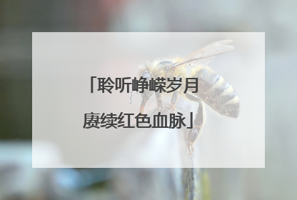 聆听峥嵘岁月 赓续红色血脉
