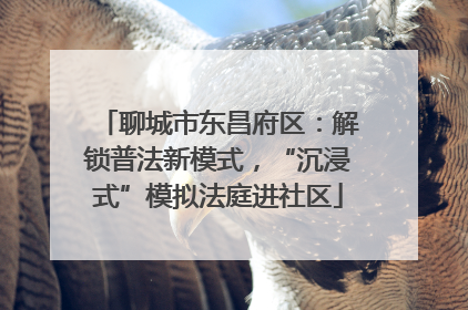 聊城市东昌府区：解锁普法新模式，“沉浸式”模拟法庭进社区