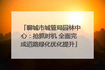 聊城市城管局园林中心：抢抓时机 全面完成道路绿化优化提升