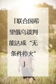 联合国希望俄乌谈判能达成“无条件停火”