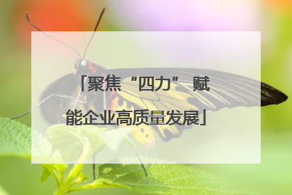 聚焦“四力” 赋能企业高质量发展