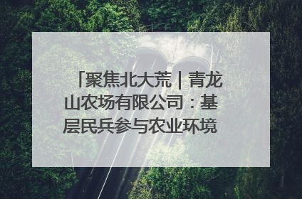 聚焦北大荒｜青龙山农场有限公司：基层民兵参与农业环境综合治理显效