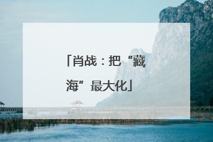 肖战：把“藏海”最大化