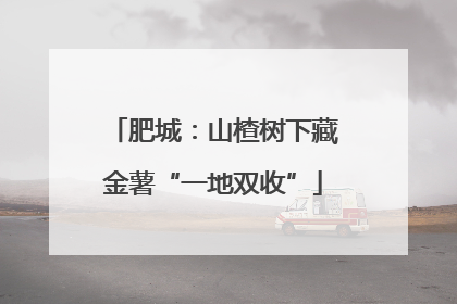 肥城：山楂树下藏金薯“一地双收”