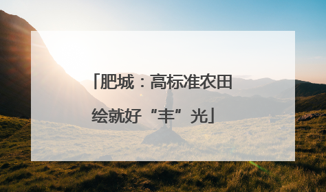 肥城：高标准农田绘就好“丰”光
