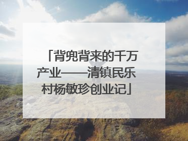 背兜背来的千万产业——清镇民乐村杨敏珍创业记