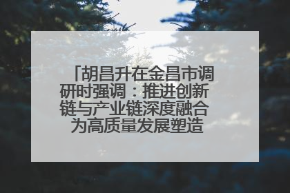 胡昌升在金昌市调研时强调：推进创新链与产业链深度融合 为高质量发展塑造新动能新优势