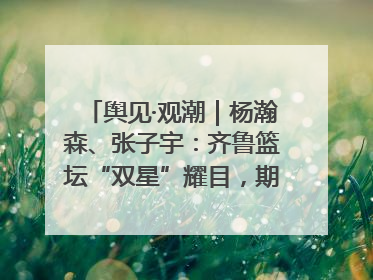 舆见·观潮｜杨瀚森、张子宇：齐鲁篮坛“双星”耀目，期许与挑战并存