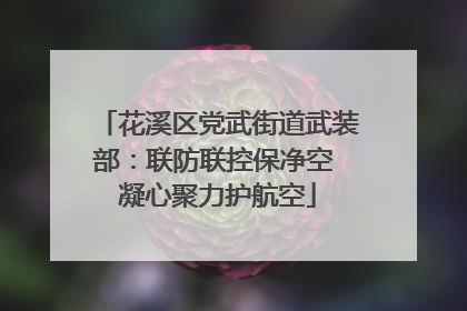 花溪区党武街道武装部：联防联控保净空 凝心聚力护航空
