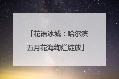 花语冰城：哈尔滨五月花海绚烂绽放