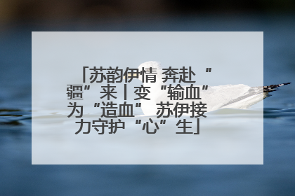 苏韵伊情 奔赴“疆”来丨变“输血”为“造血” 苏伊接力守护“心”生